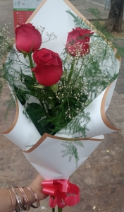 IMG-20251128-WA0004 (1)